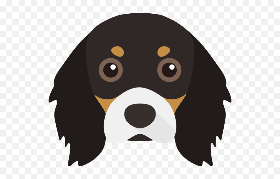Create A Tailor - Made Shop Just For Your Cavalier King Emoji,Three Kings Emoji