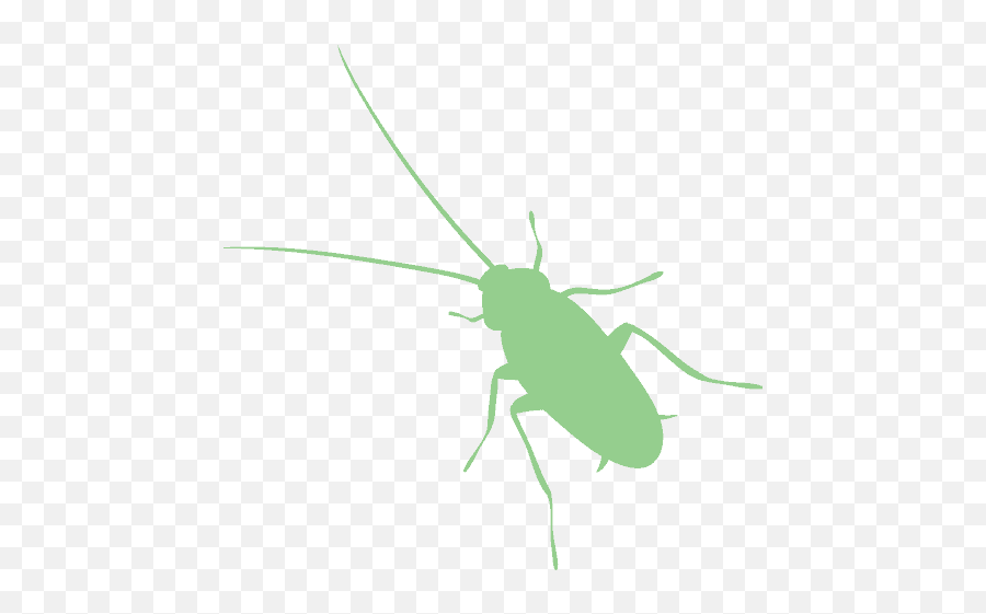 Bug Database - Killum Pest Control Emoji,Criket Emoji