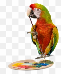 Gifts For Bird Lovers - Gift Bird Emoji,Cockatiel Emotions