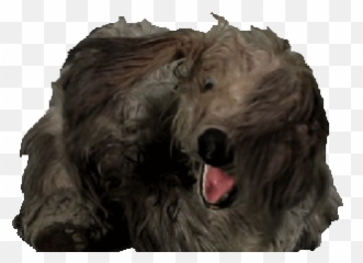 Topic For Animated Dancing Dogs Doggy Dance Tumblr - Water Dog Emoji,Dancing Hot Dog Emoji