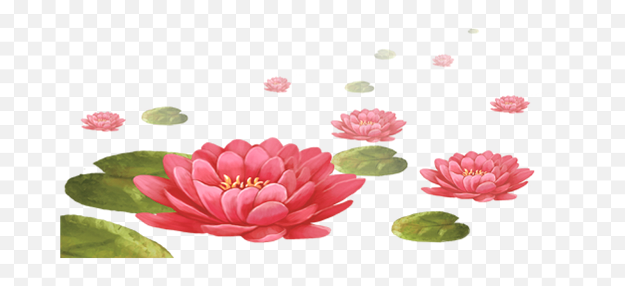 Lilypads Ponds Water Flowers Sticker - Nymphaea Nelumbo Emoji,Lilypad Emoji