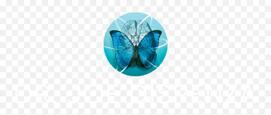 Dr - Butterflies Emoji,Emotions Losing What Needs To Be Lost Dispanza