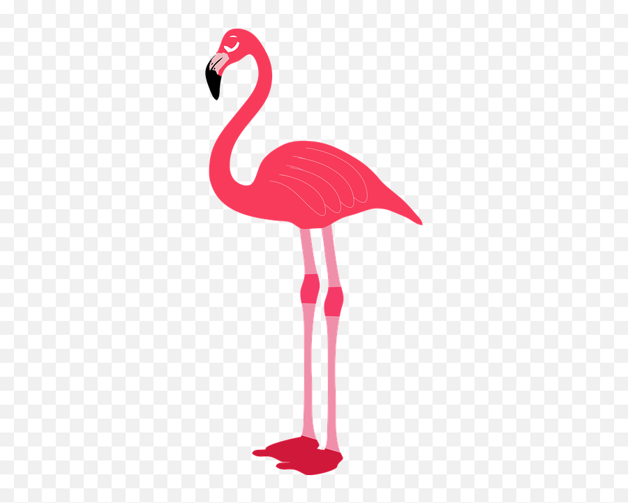 Pixabay - Transparent Background Flamingo Clipart Emoji,Flamingo Emoji
