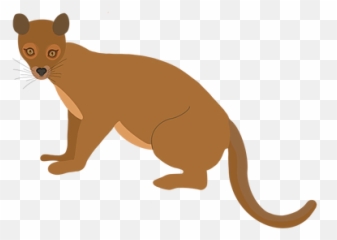 Home - Animal Figure Emoji,Emotions In Zoo Animals