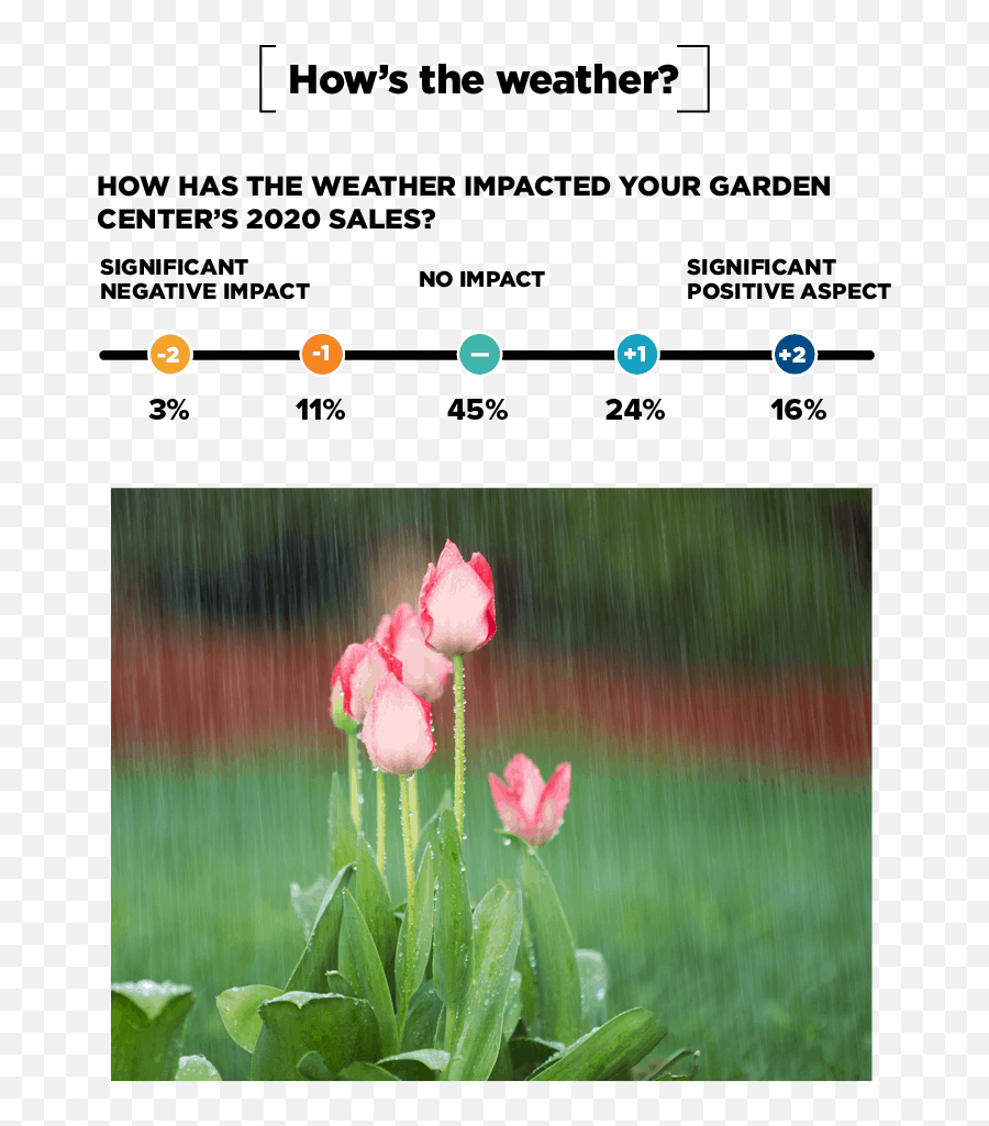 2020 Vision - Rain In Flower Garden Emoji,22 Emotions Of Planting Seaso