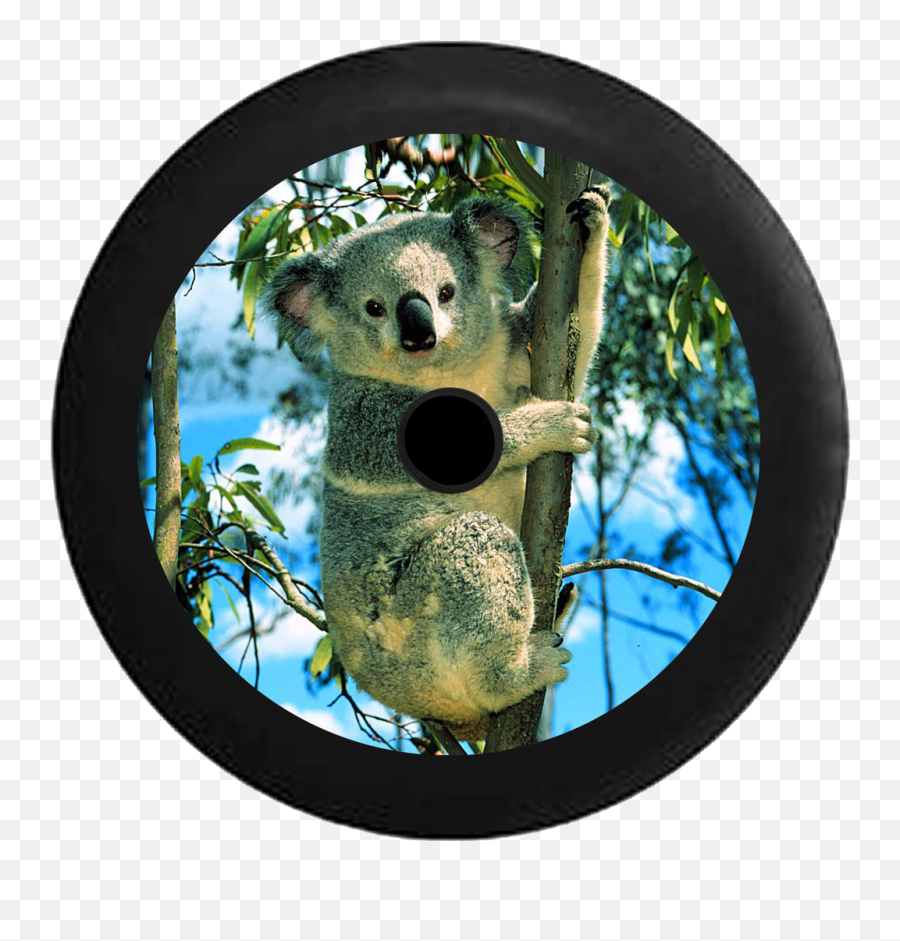 Jl Hole Animal Tire Covers U2013 Page 3 U2013 Tirecoverpro - Koala Bear Emoji,Camera Monkey Emoji