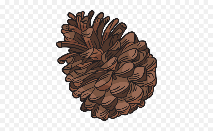 Hand Drawn Pine Cone - Conifer Cone Emoji,Pine Cone Emoji