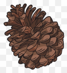 Hand Drawn Pine Cone - Conifer Cone Emoji,Pine Cone Emoji