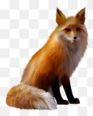 Fox Png Resolution500x500 Transparent Png Image - Imgspng Fox Png Hd Emoji,Fox Emoji Transparent