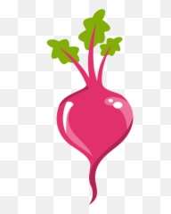 Roots Clipart Absorption Roots Absorption Transparent Free - Beet Clipart Transparent Background Emoji,Beet Emoji