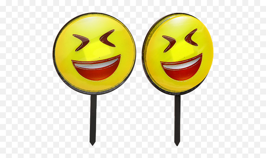 3d Smiley - Compass Emoji,Tiara Emoticon