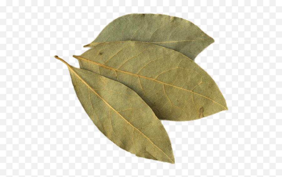 The Most Edited Spices Picsart - Bay Leaves Emoji,Emojis Spicey