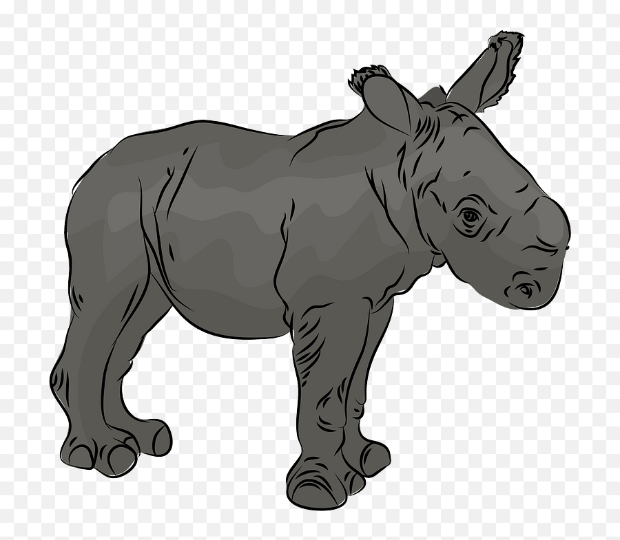 Rhino Cub Clipart Free Download Transparent Png Creazilla - Black Rhinoceros Emoji,Cubs Emojis Download