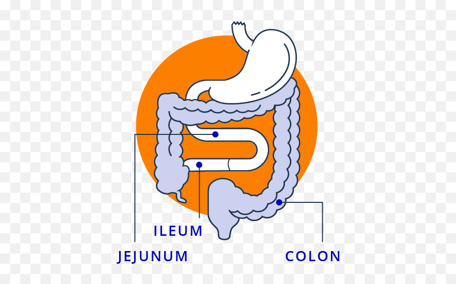 What Is Short Bowel Syndrome - Language Emoji,Emotion Code Small Intestine Acen