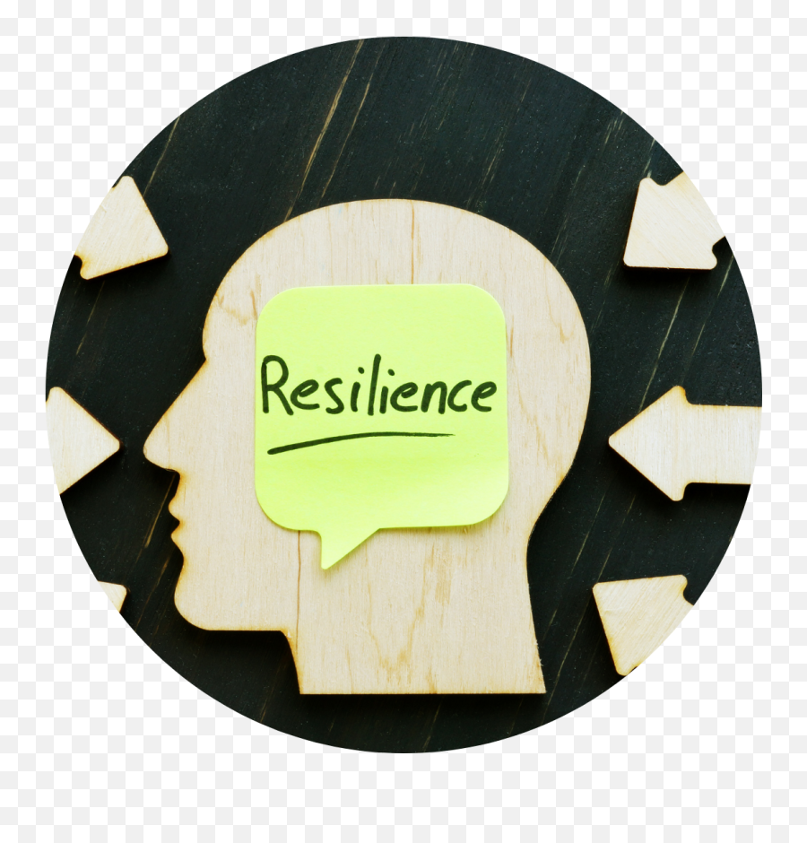 Rebecca Cohen Practice Like A Pro - Resilience Mindset Emoji,Mind Spirit Emotion/ High Resolution