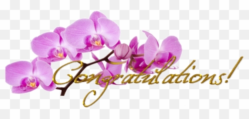 Only Heart Catcherscc6sio Chat Clubs - Orchids Images And Congratulations Emoji,Emoticons Nubers