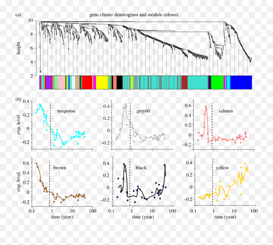 Temporal Patterns Of Cortical Expression Of Ei - Associated Plot Emoji,Lack Of Emotions Or Remo