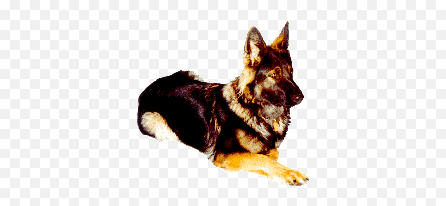 Schatze - Vulnerable Native Breeds Emoji,German Shepherd Dog Barking Emoticon