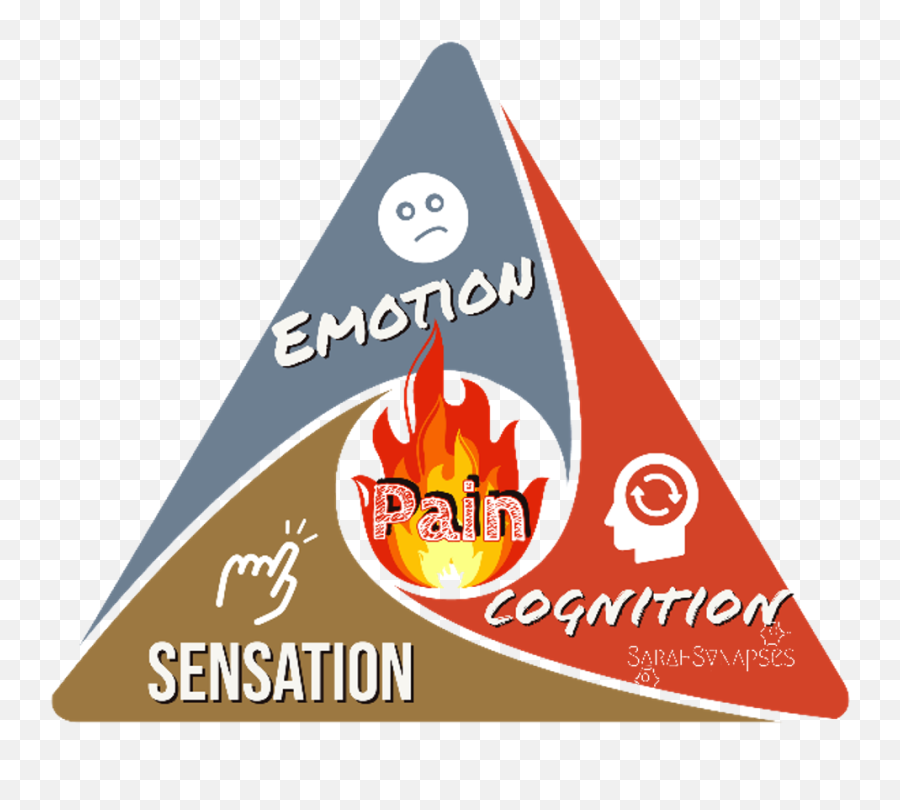 Nociception Is To Pain As Fuel Is To Fire - Sarahsynapses Emoji,Emotion Associated With Fire