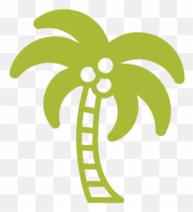 Downtown North Miami U2013 Revitalization Of Downtown North Miami Emoji,Palm Tree Youtube Emoji
