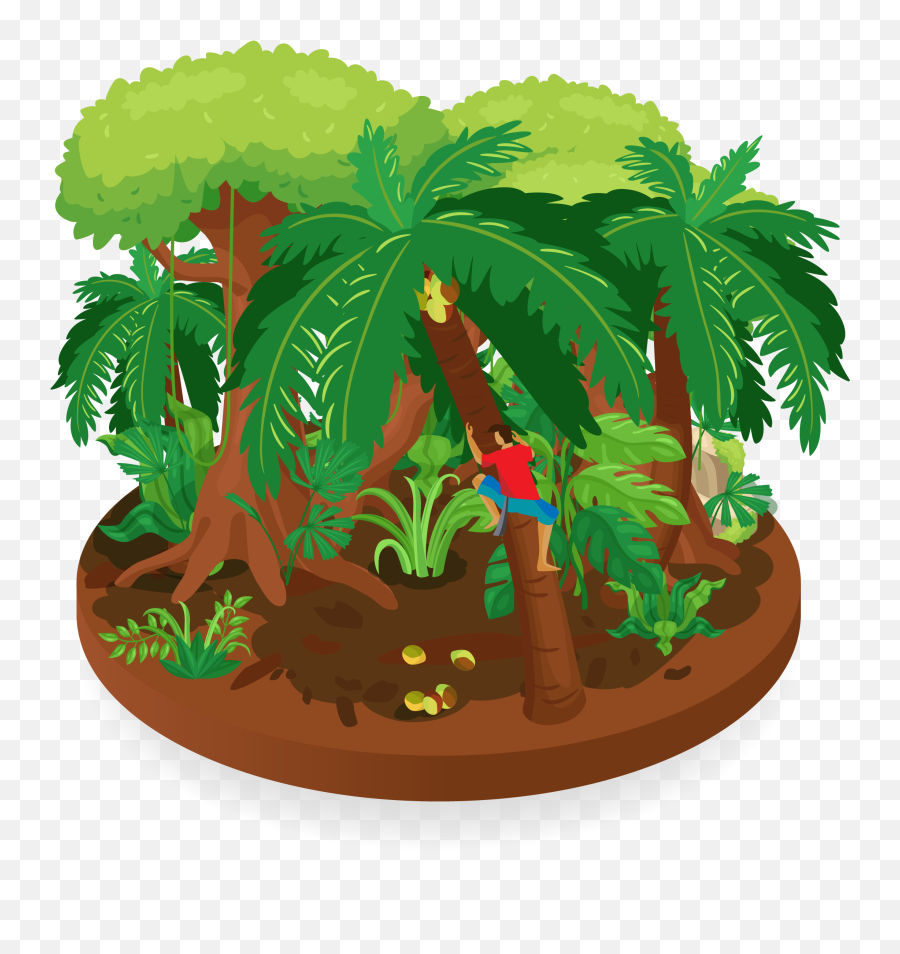 Forestwise - Organic Virgin Coconut Oil Emoji,Palm Tree Emoji Png