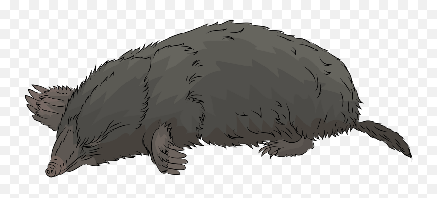 Mole Clipart - Moles Emoji,Mole Emoji