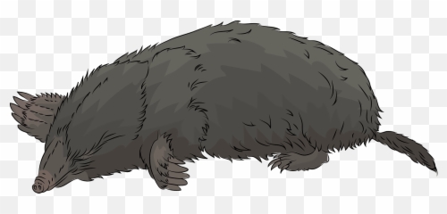 Mole Clipart - Moles Emoji,Mole Emoji