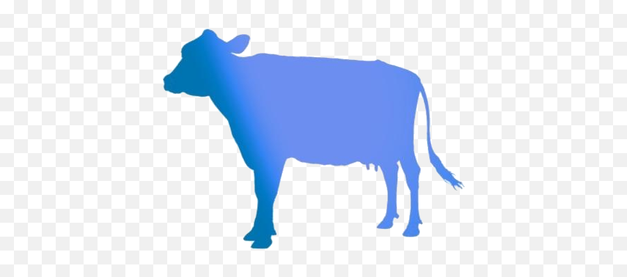 Indian Cow Png Image With Transparent - Animal Figure Emoji,Holy Cow Emoji