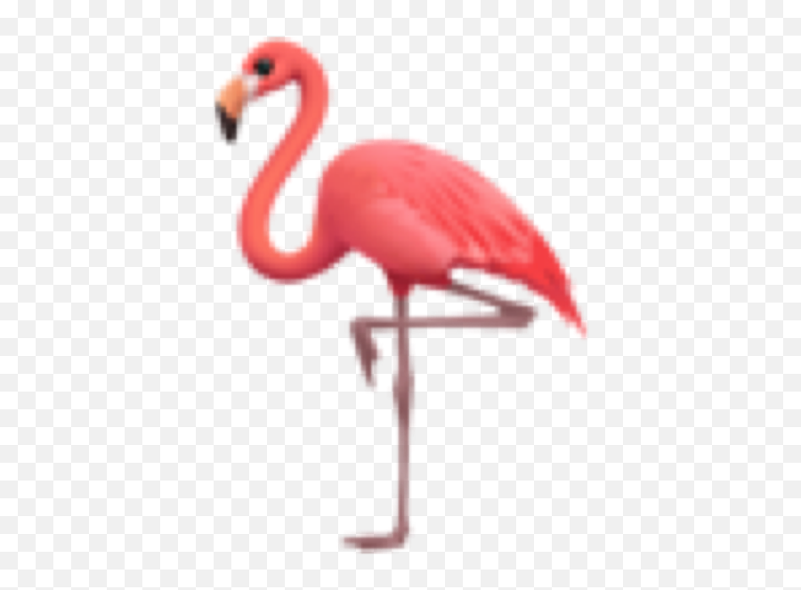 Flamingo Pink Emoji Iphone Sticker - Greater Flamingo,Flamingo Emoji