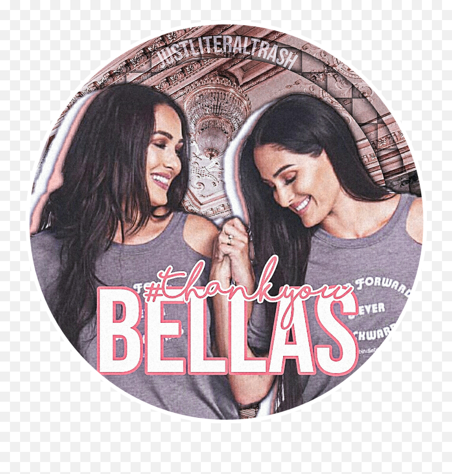 Bellatwins Wwe Nikkibella Briebella - For Adult Emoji,Nikki Bella Emoji