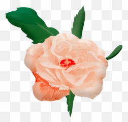 Rosa En Acuarela Png Clipart - Fresh Emoji,Acuarela Emojis