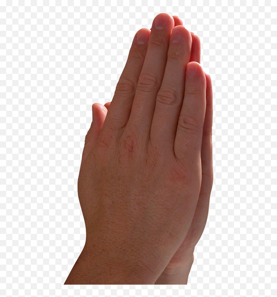 God Hands In Prayers - Clipart Best Worship Hand Pray Hand Gif Emoji,Praying Emoji