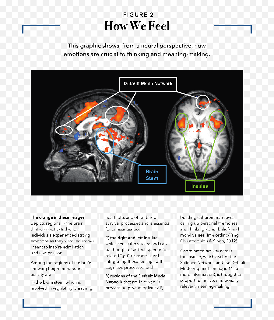 The Brain Basis For Integrated Social Emotional And - Dot Emoji,Molecules Of Emotion