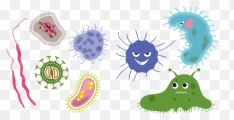 Why Does One Require To Test Mold - Quora Emoji,School Emojie