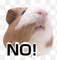 Sticker Pack - Stickers Cloud Emoji,Frightened Hamster Slack Emoji