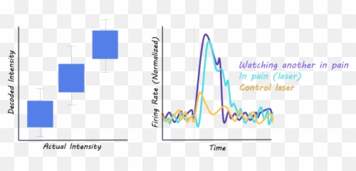 Do Rats Have Emotional Mirror Neurons Emoji,Mirroring Emotions