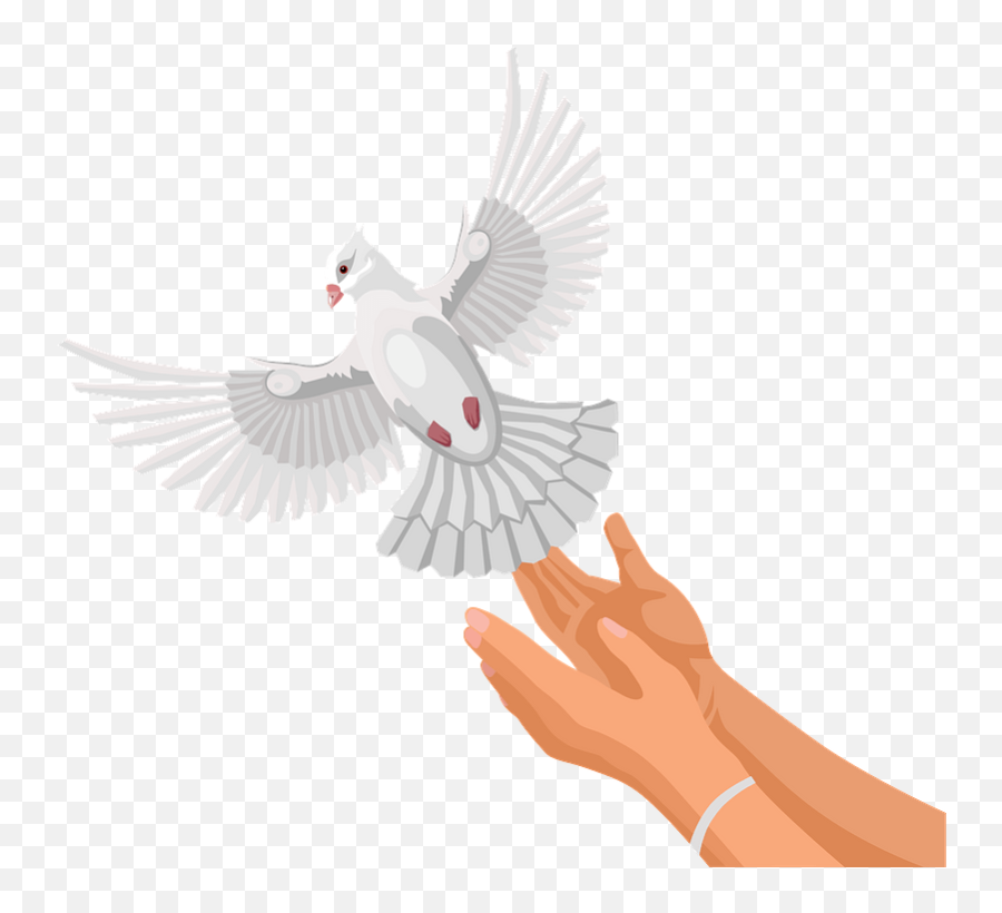 Dove Clipart Free Download Transparent Png Creazilla - Homing Pigeon Emoji,Dove Of Peace Emoji