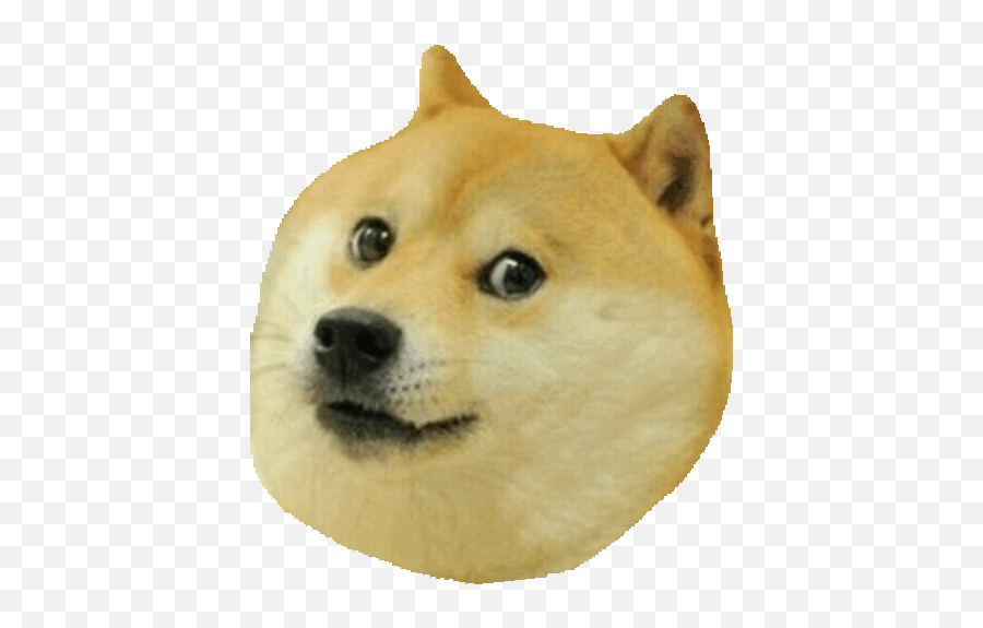 Dogs Doge Sticker By Imoji For Ios Android Giphy Doge Meme - Doge Face Transparent Emoji,Meme Creator With Emojis