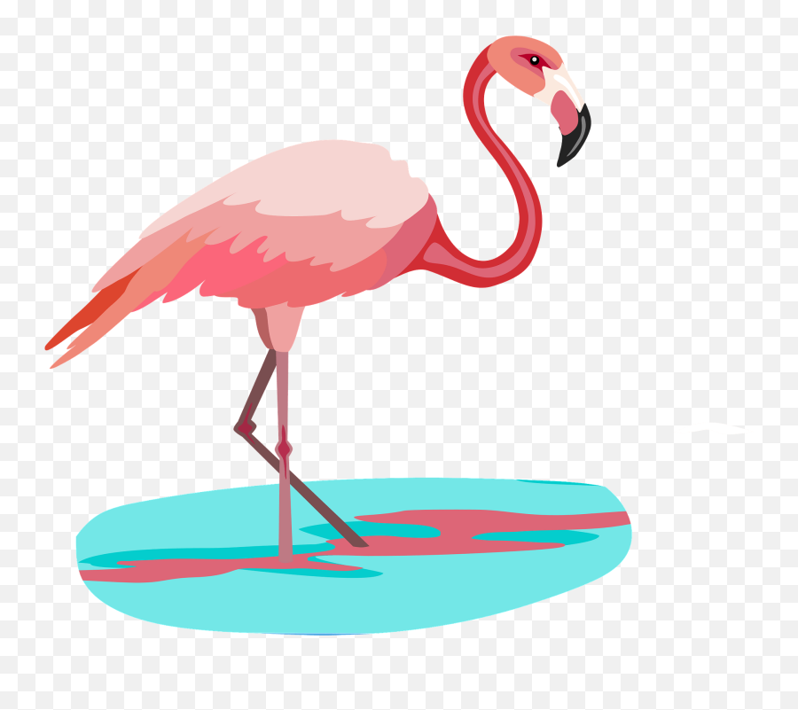 Flamingo Clipart - Greater Flamingo Emoji,Flamingo Emoji