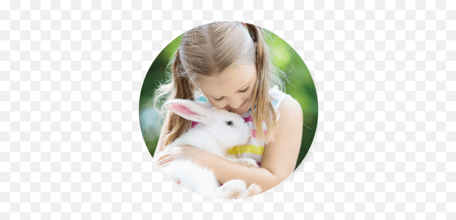 About The Zoo - Domestic Rabbit Emoji,Emotions In Zoo Animals