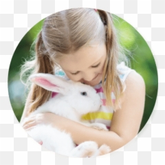 About The Zoo - Domestic Rabbit Emoji,Emotions In Zoo Animals