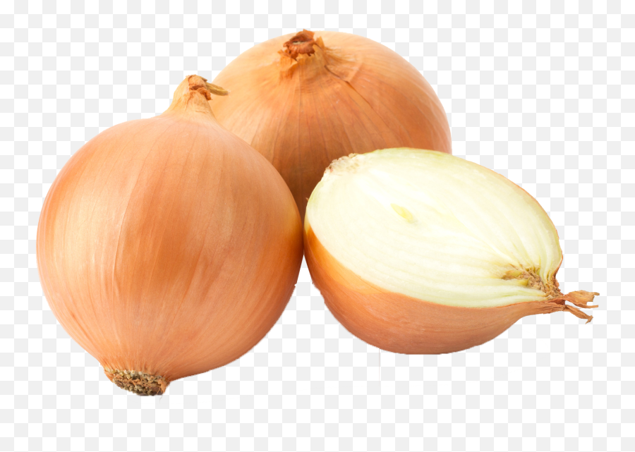 White Onion Yellow Onion Garlic Red - Transparent Background Onions Clipart Emoji,Onion-tou Emoticons