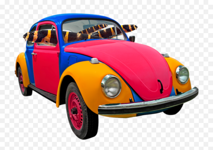 Thanksgiving Live Stream - Photos Videos U0026 Journals Care Volkswagen Beetle Emoji,Thanksgiving Emoji Text