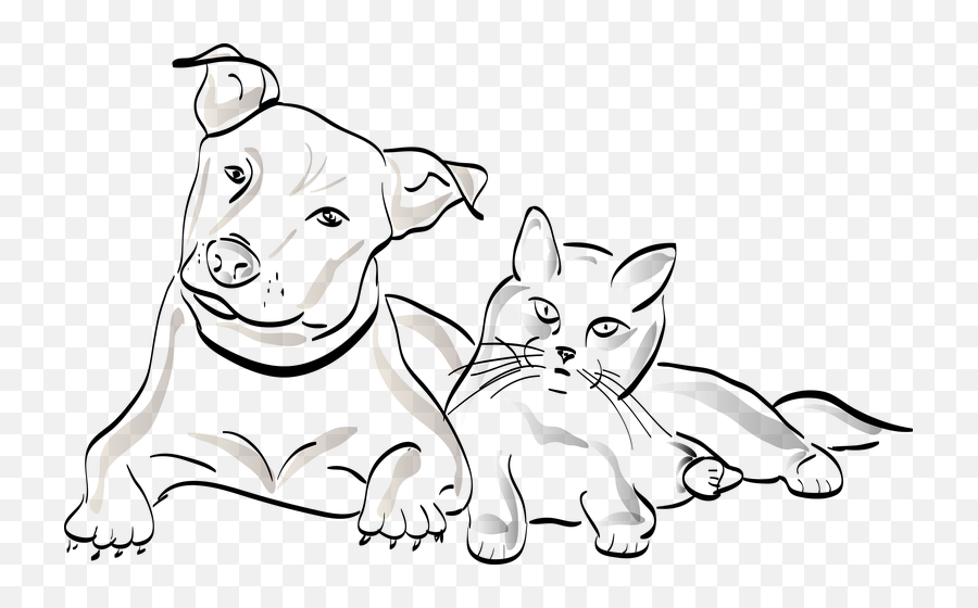 The Best Essential Oils For Your Pets - Radha Beauty Drawing Of Cats And Dogs Emoji,Emotions And Essential Oils Book