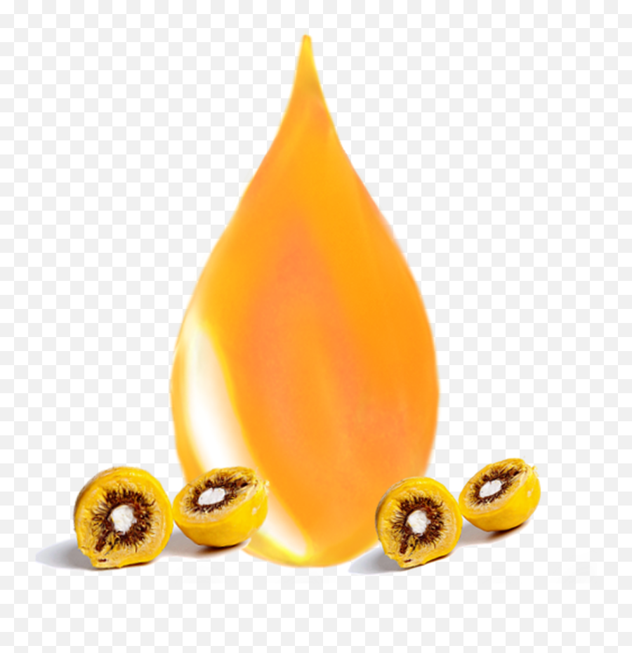 Wild - Harvested Unrefined Pequi Fruit Oil Emoji,Beans. Emojipedia