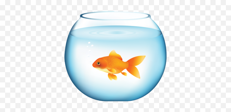 Tags - Fish Png Free Png Images Starpng Emoji,Gold Fidsh Emoji
