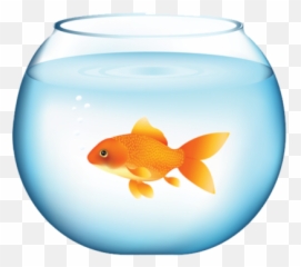 Tags - Fish Png Free Png Images Starpng Emoji,Gold Fidsh Emoji