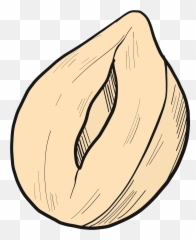 Hazelnut Clipart - Saco De Pipoca Emoji,Hazelnut Emoji