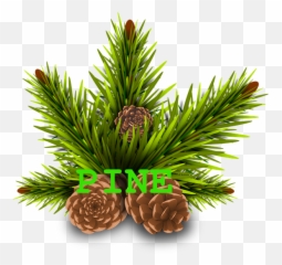 Free Cone Ice Cream Illustrations - Christmas Pine Leaves Png Emoji,Pine Cone Emoji