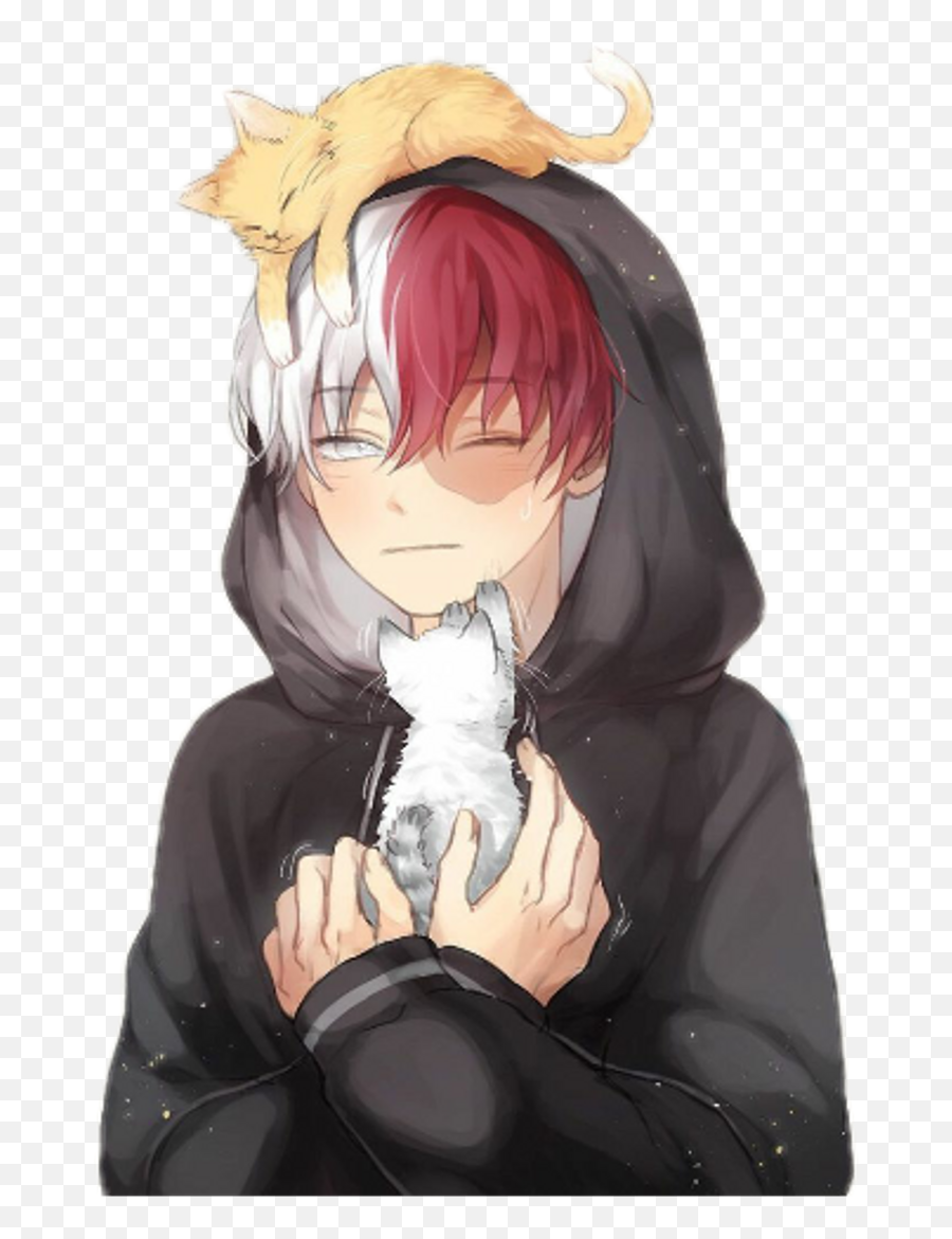 The Most Edited Cats Picsart - Kawaii Neko Boy Anime Emoji,Ascii Art Kitten Emoticons